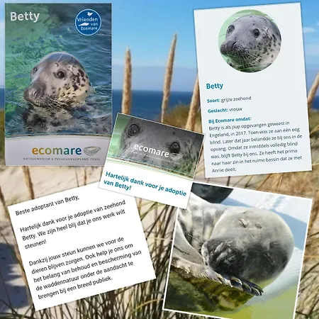 Wadleuk! Ντεν Χέλντερ