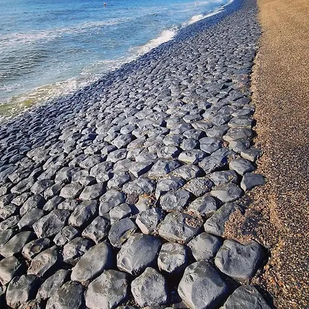 Wadleuk! * Den Helder