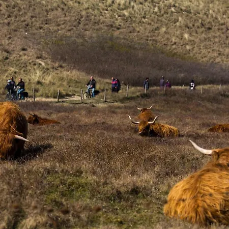 Wadleuk! Appartement