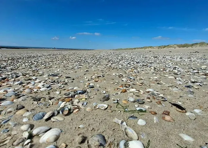 Appartement Wadleuk! *