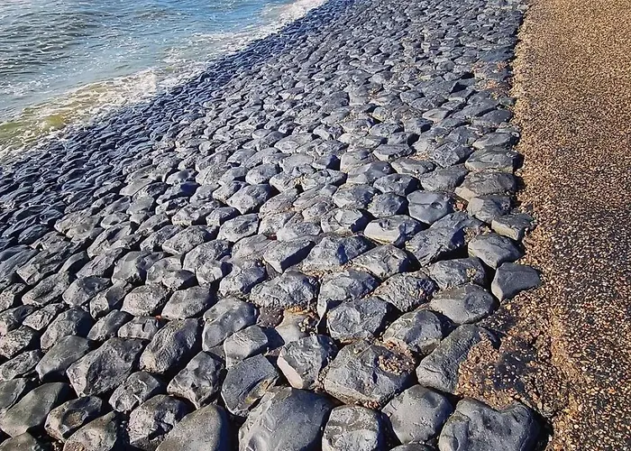 Wadleuk! * Den Helder