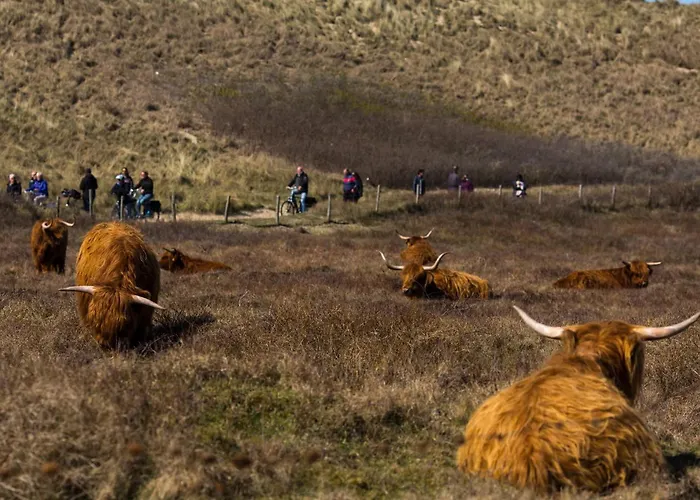 Wadleuk! Appartement